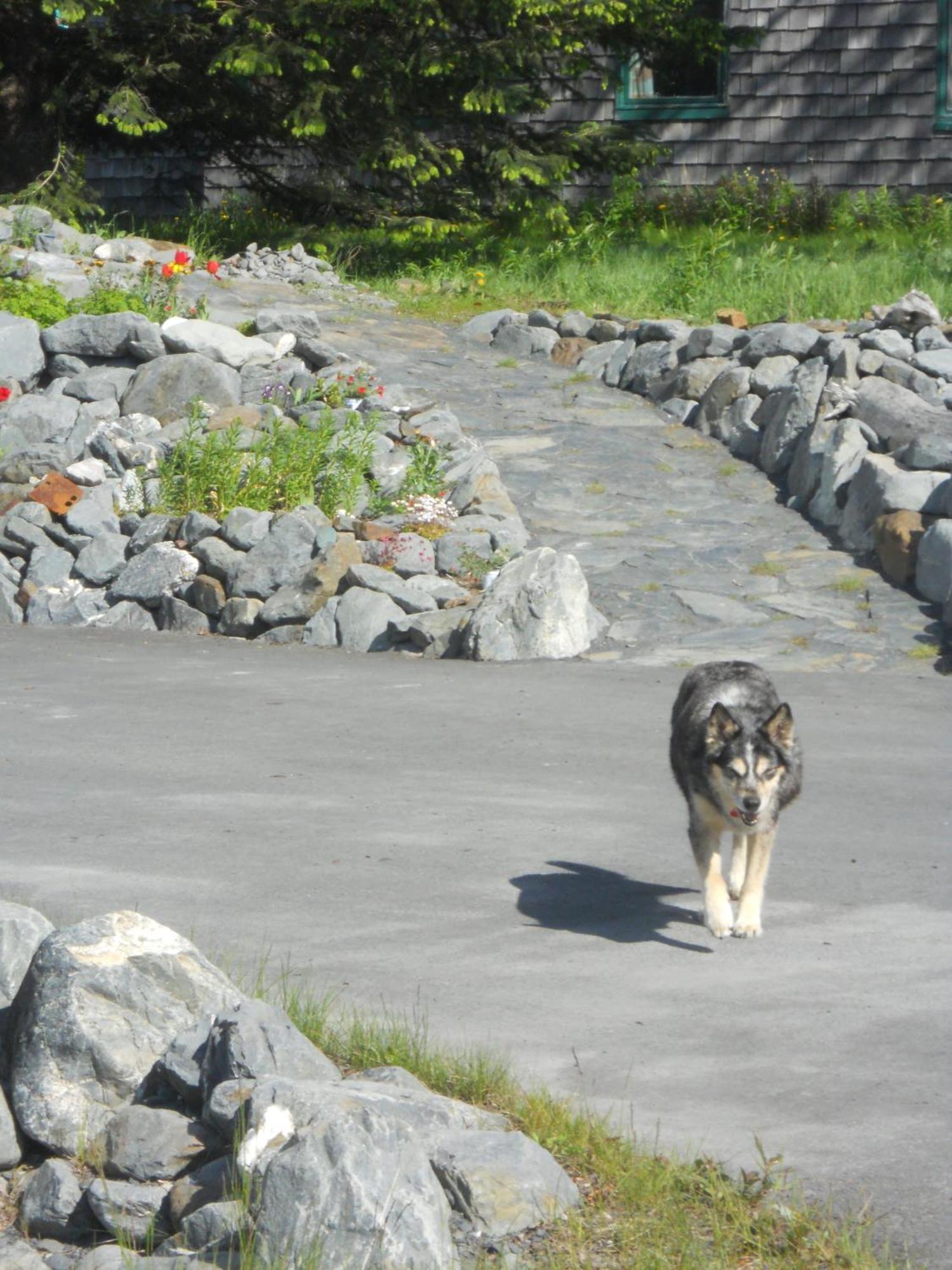 Seward Front Row Bed And Breakfast المظهر الخارجي الصورة