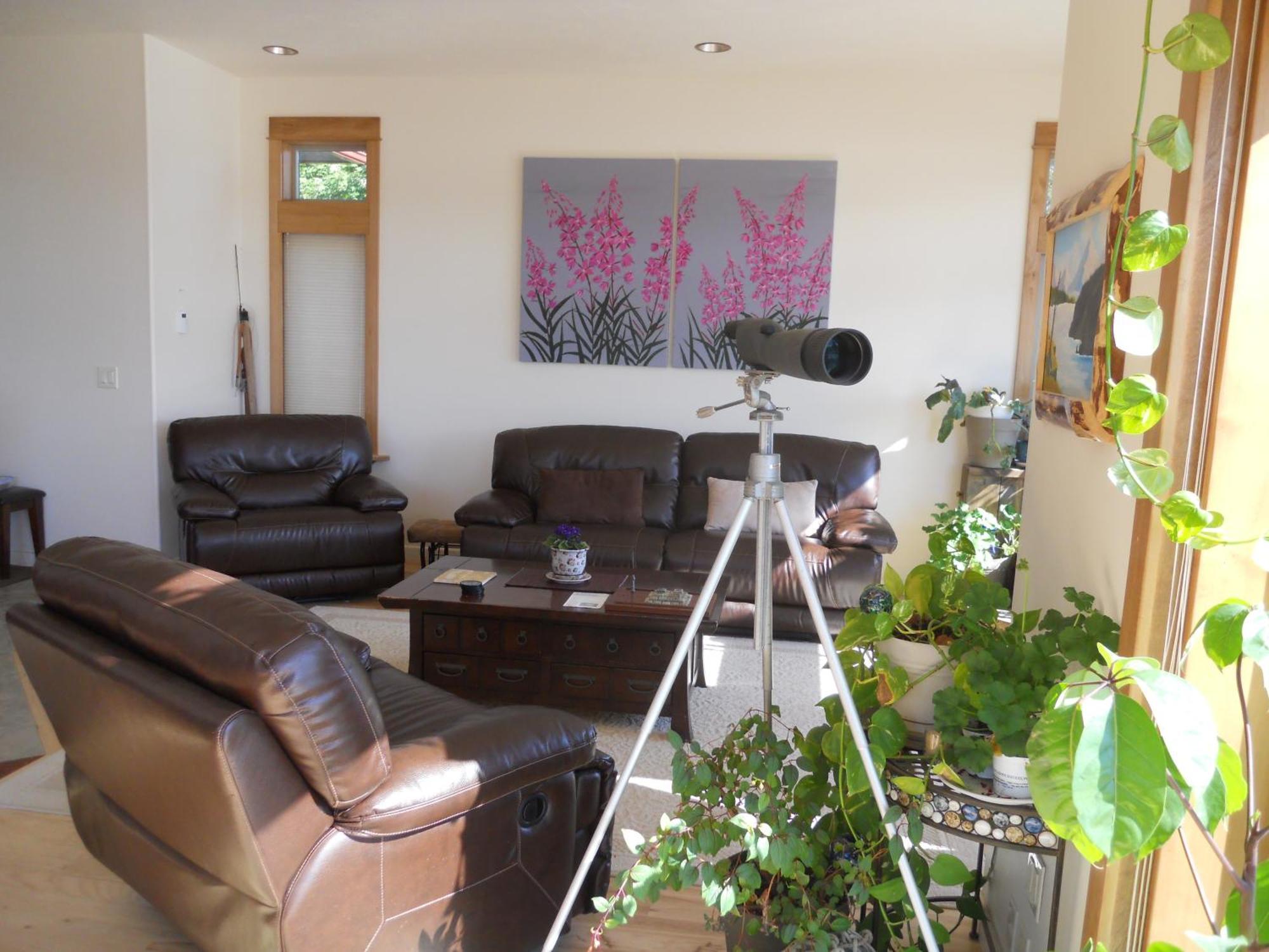 Seward Front Row Bed And Breakfast المظهر الخارجي الصورة