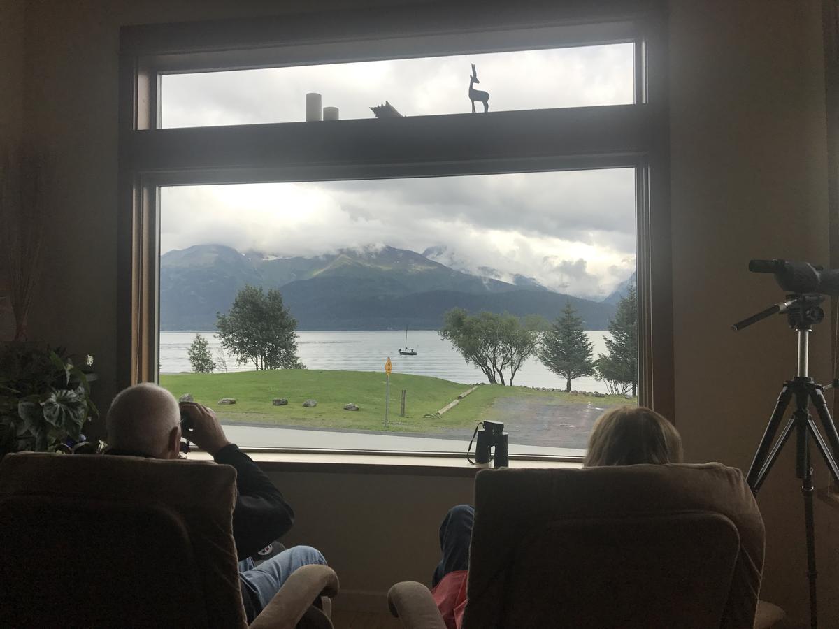 Seward Front Row Bed And Breakfast المظهر الخارجي الصورة